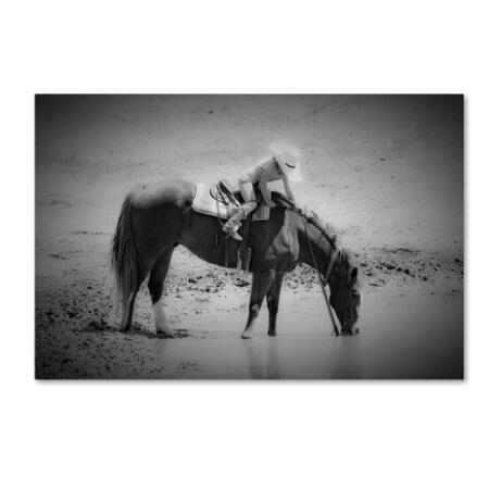 Trademark Fine Art Dan Ballard 'Refresh' Canvas Art, 16x24 ALI7964-C1624GG